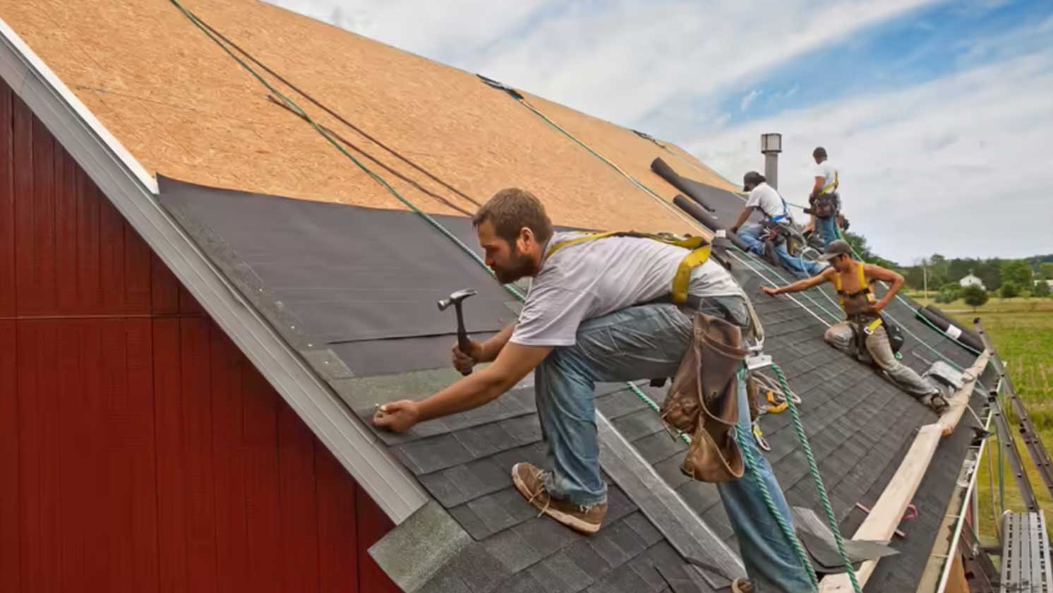 shingles